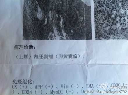 2甜甜诊断书
